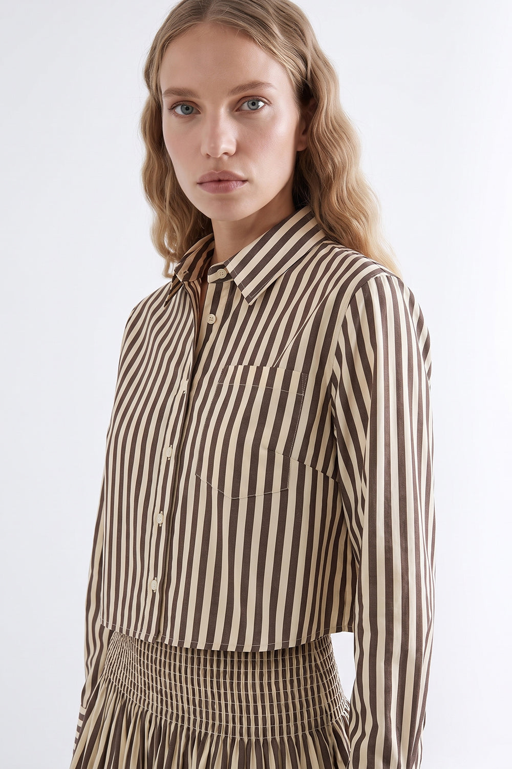 Collared Mini Dress with Shirred Waist - BROWN BEIGE