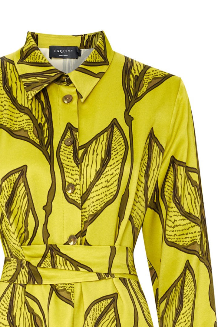 April Dress Shirt Collar Printed Midi Dress - Green