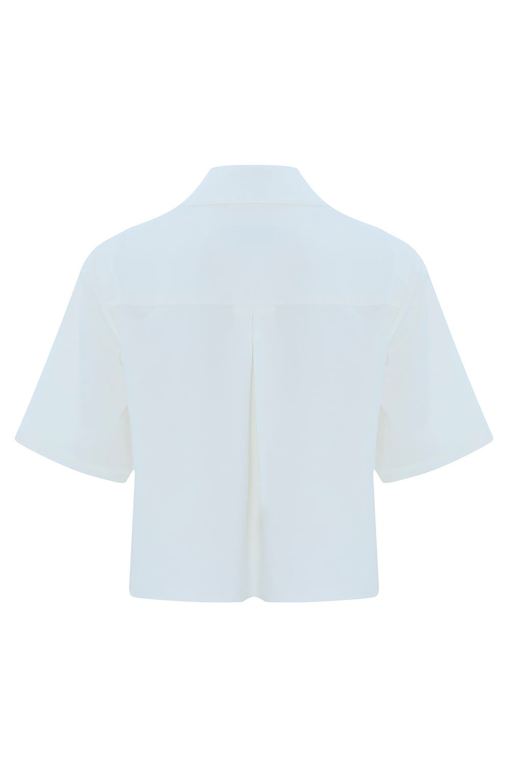 Short Sleeve Knit Trim Poplin Regular Shirt Bone