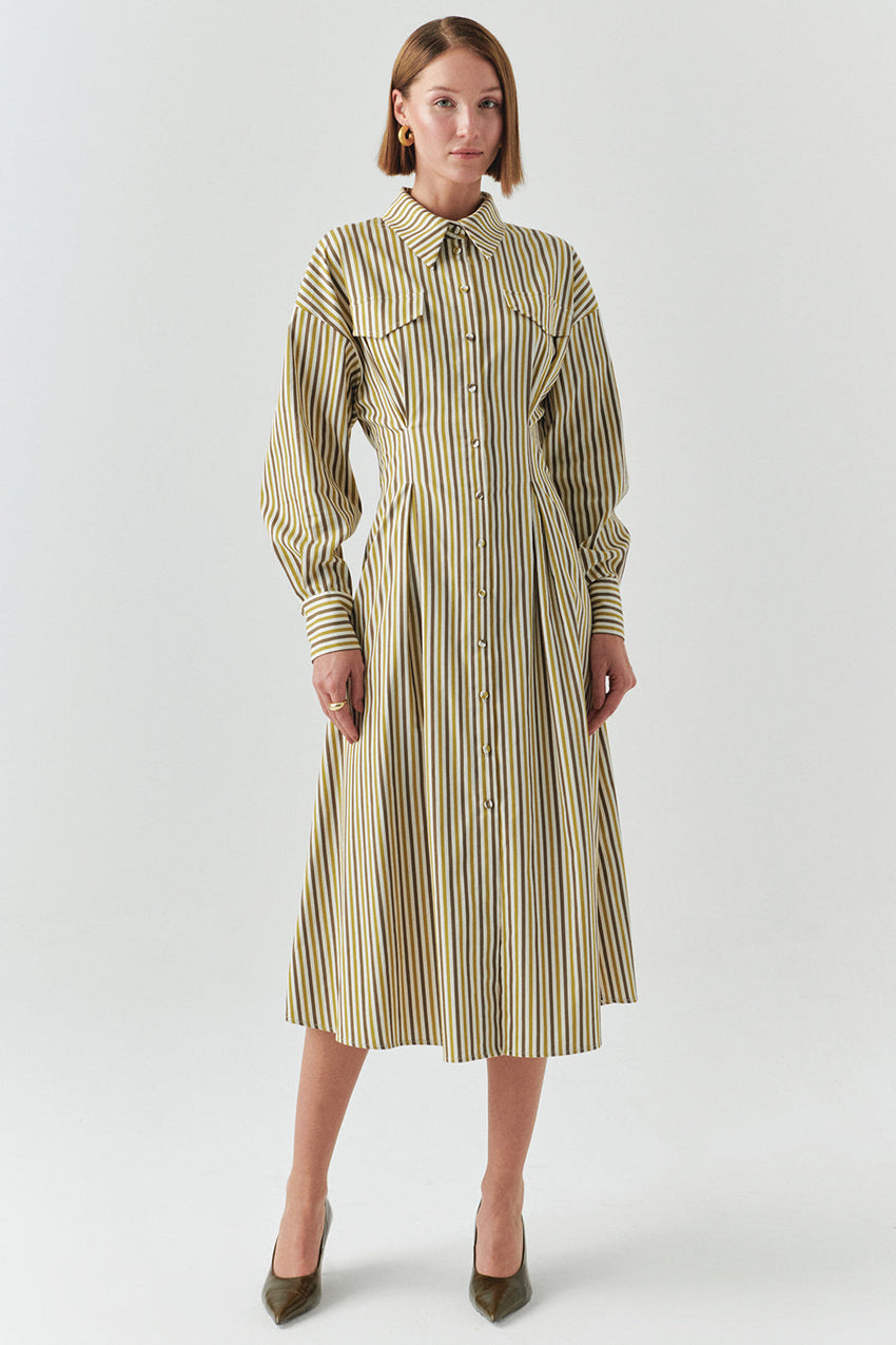 Flora Striped Long Sleeve Pleated Waist Shirt Dress
