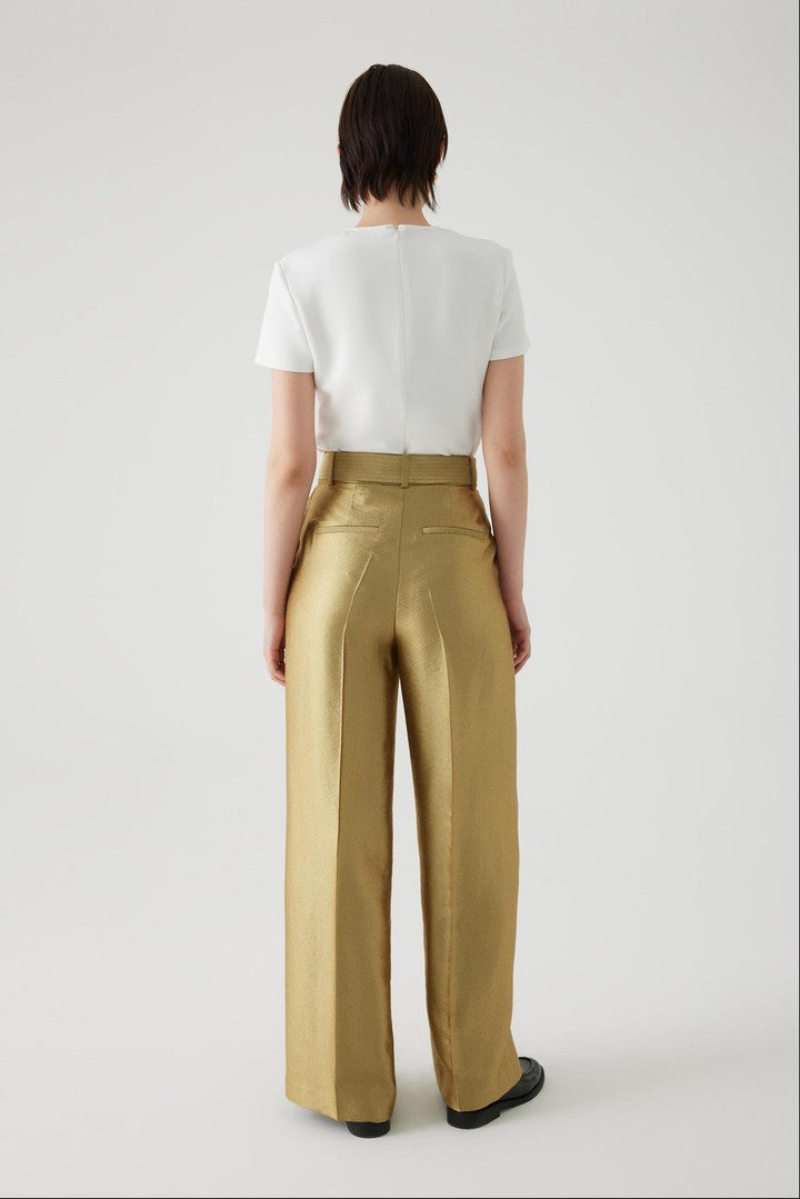 Regular Fit Gold Pants with Waist Tie