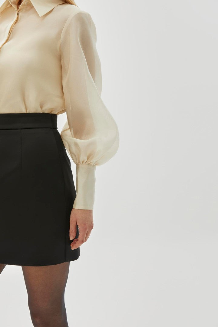 Women's Slim Fit Black Mini Straight Skirt
