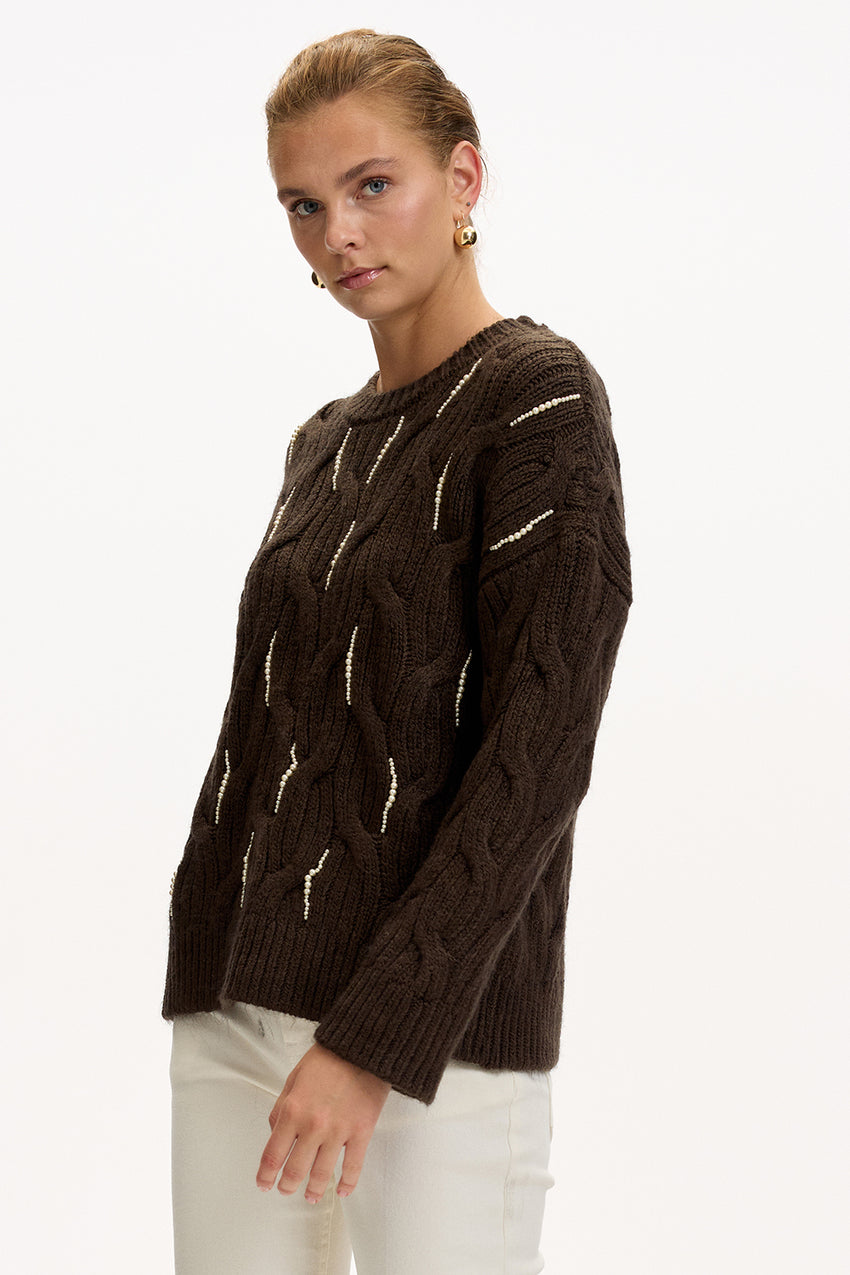 Brown Regular Fit Knit Blouse with Beaded Embroidery and Crew Neck
