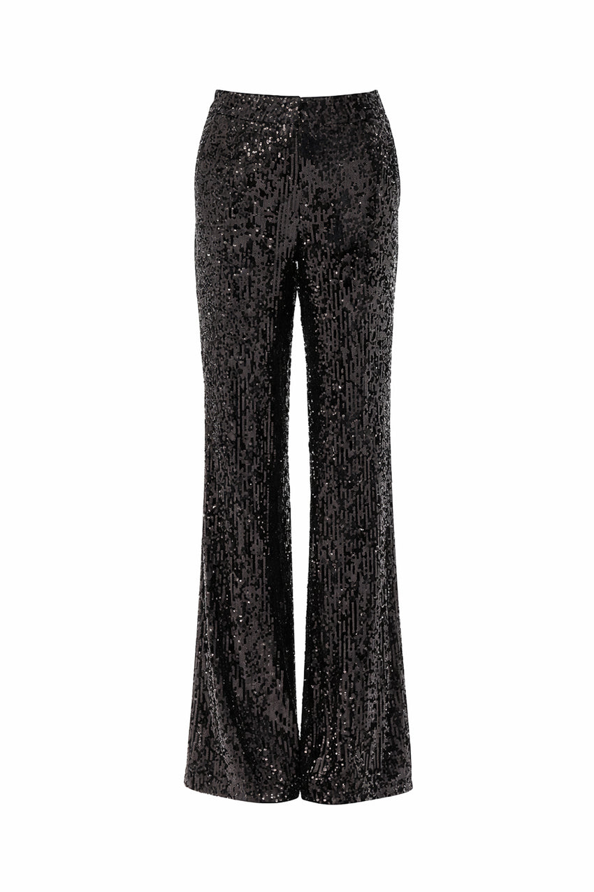 Regular Sequin Embellished Lined Wide Leg Pants - Black