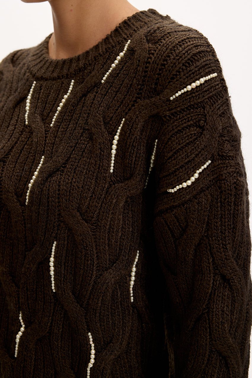 Brown Regular Fit Knit Blouse with Beaded Embroidery and Crew Neck