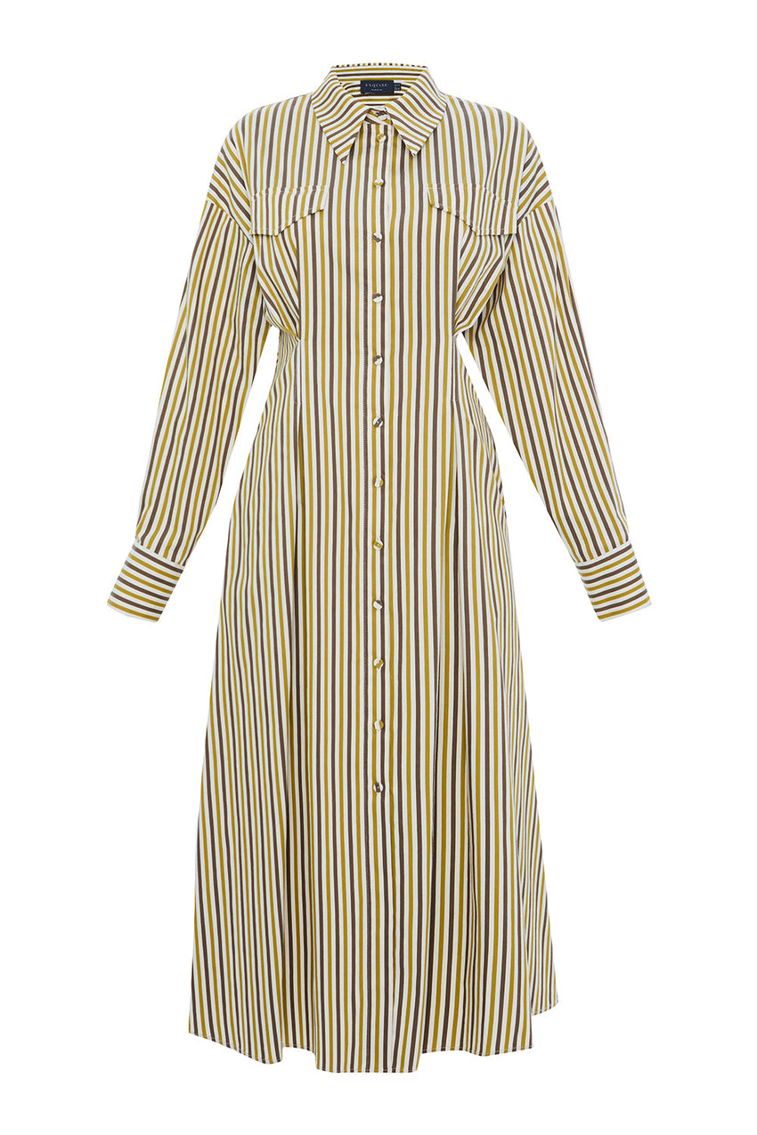Flora Striped Long Sleeve Pleated Waist Shirt Dress