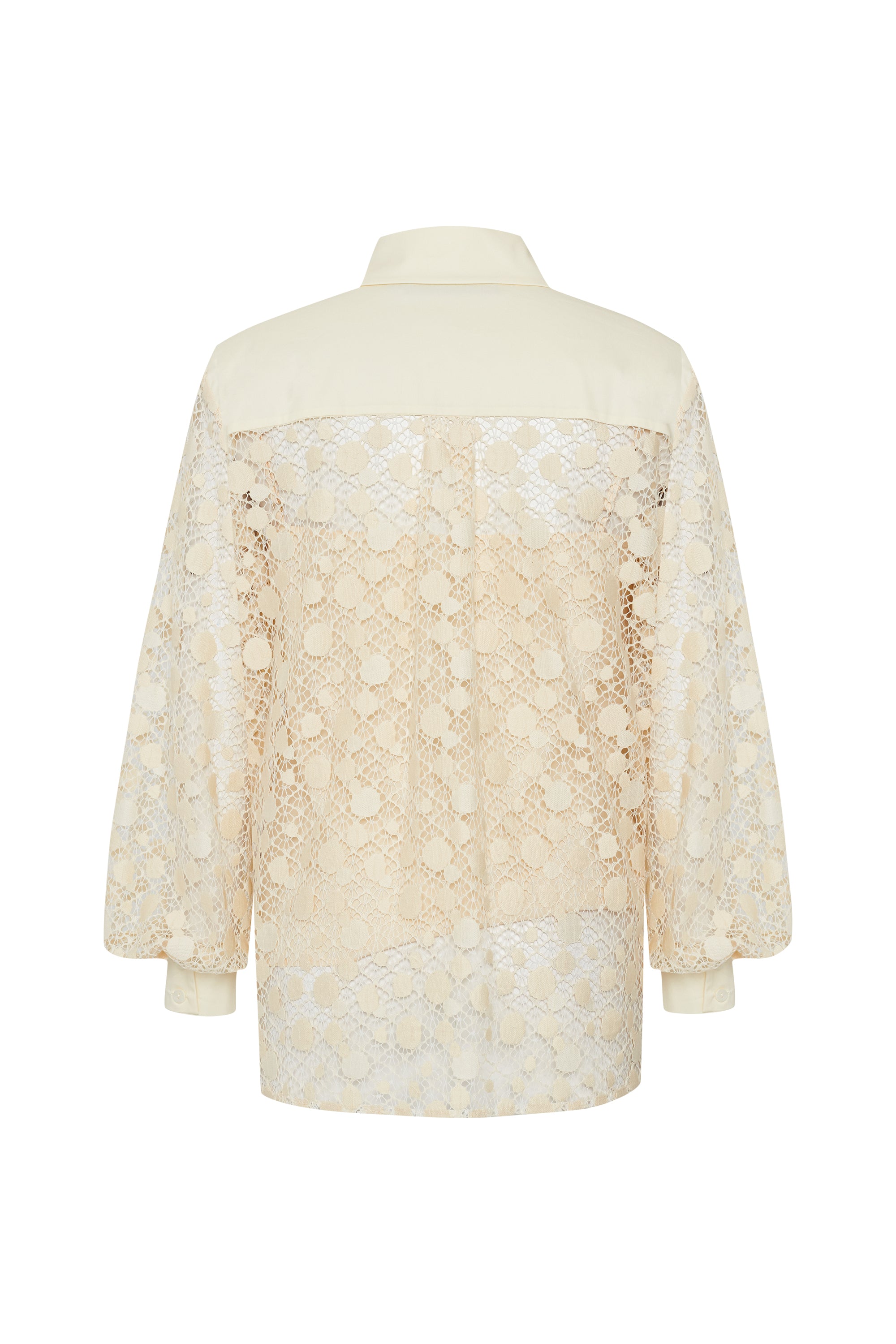 Cotton Lace-Detail Regular Fit Shirt