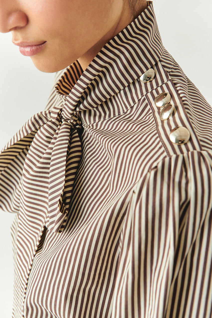 Indigo Brown-Bone Striped Cotton Blouse with High Neck, Tie Detail, and Long Sleeves