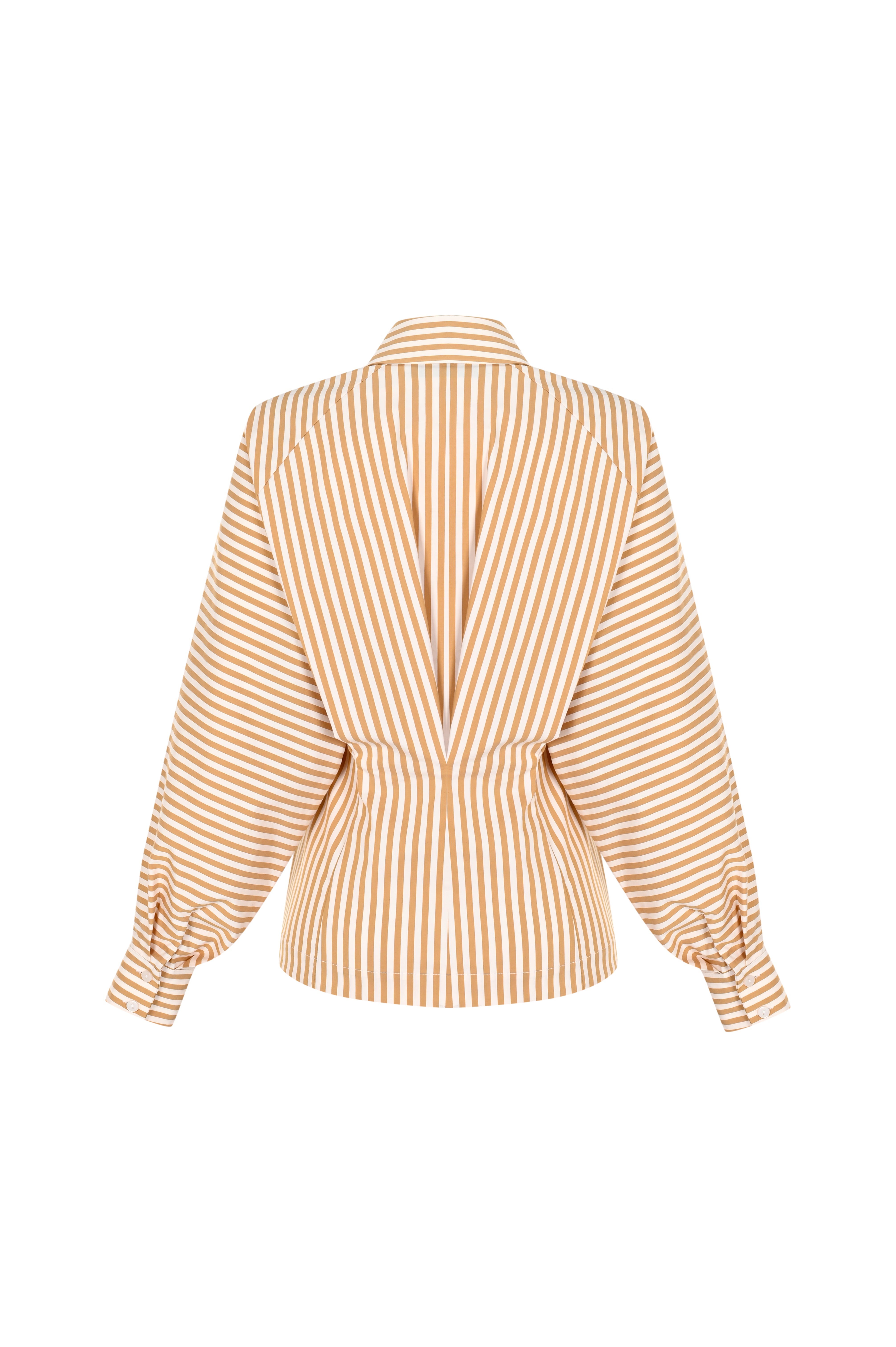 Regular Fit Fitted Waist Cotton Shirt - Brown