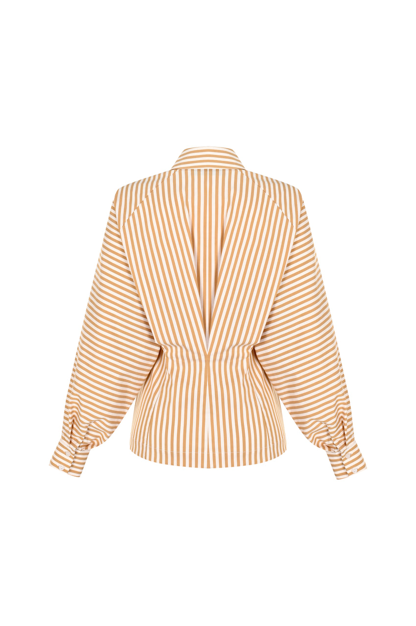 Regular Fit Fitted Waist Cotton Shirt - Brown