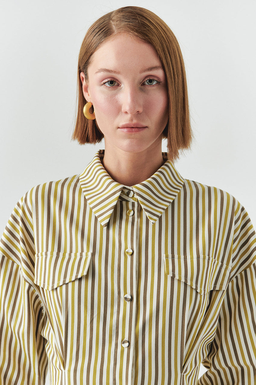 Flora Striped Long Sleeve Pleated Waist Shirt Dress