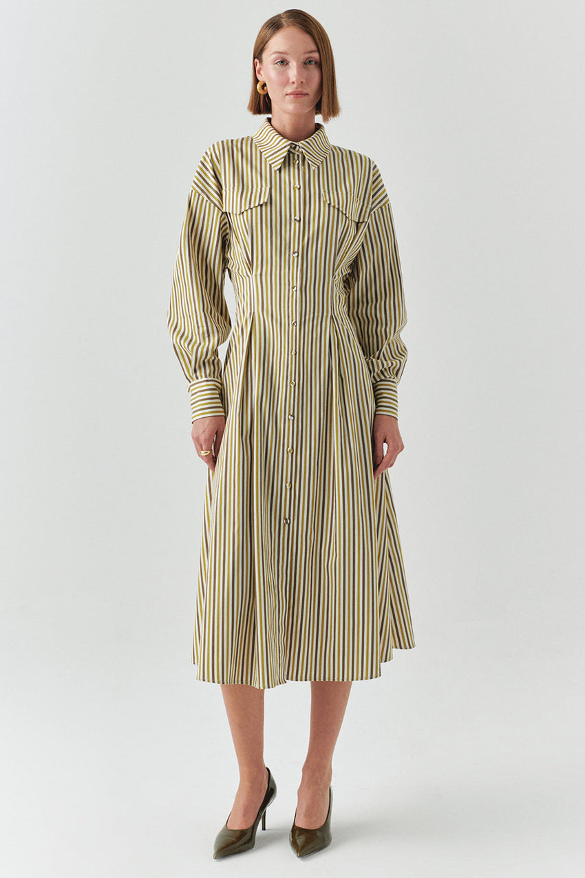 Flora Striped Long Sleeve Pleated Waist Shirt Dress