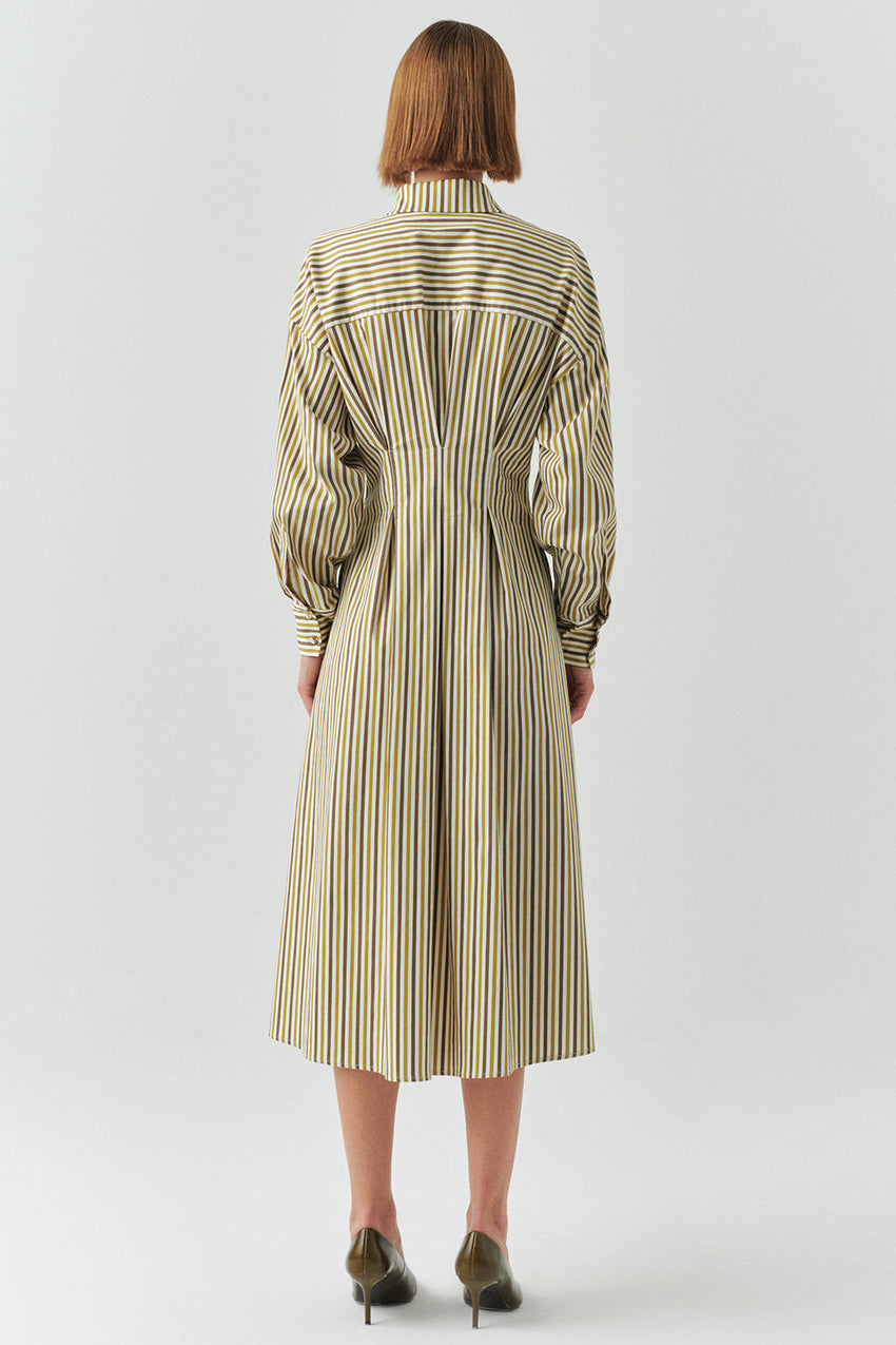 Flora Striped Long Sleeve Pleated Waist Shirt Dress
