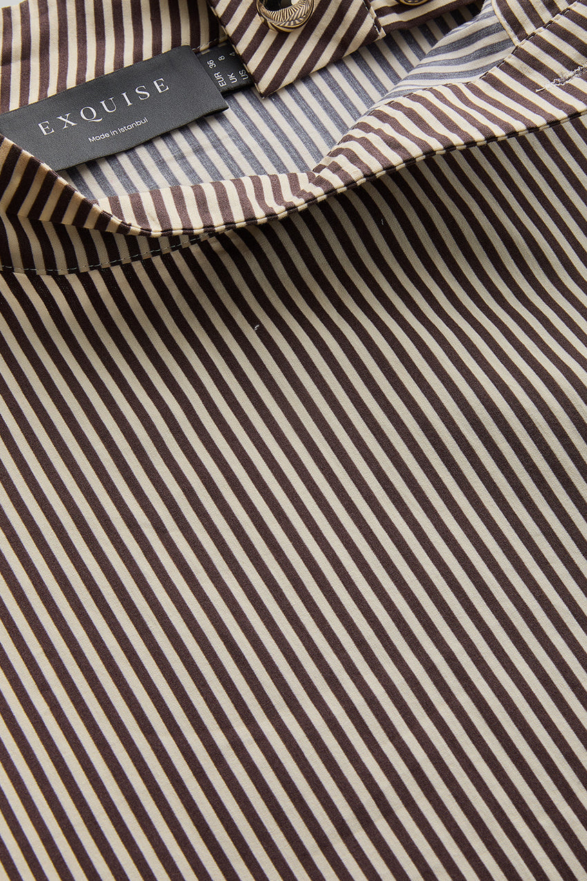 Indigo Brown-Bone Striped Cotton Blouse with High Neck, Tie Detail, and Long Sleeves