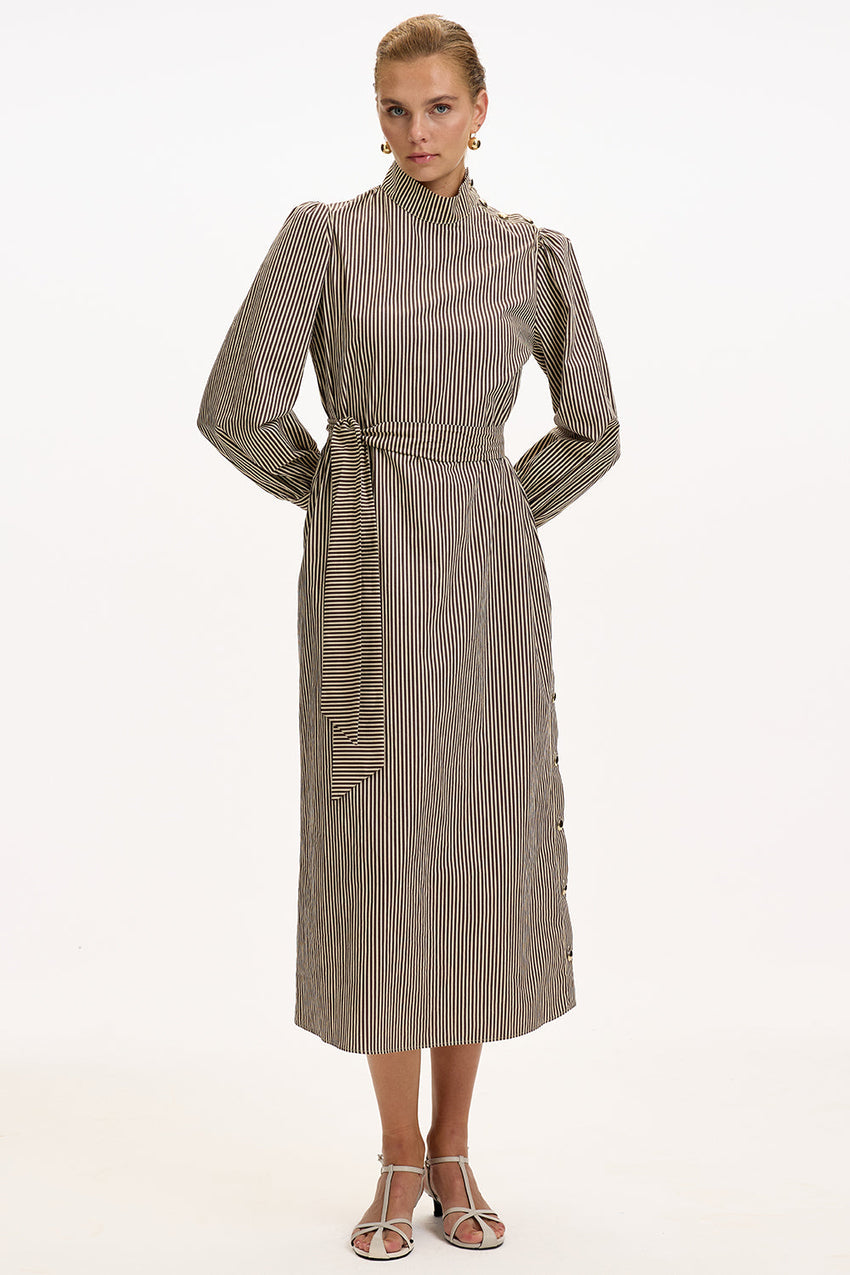 Brown Beige Striped Regular Fit Midi Dress with Long Sleeves, High Neck, and Belt