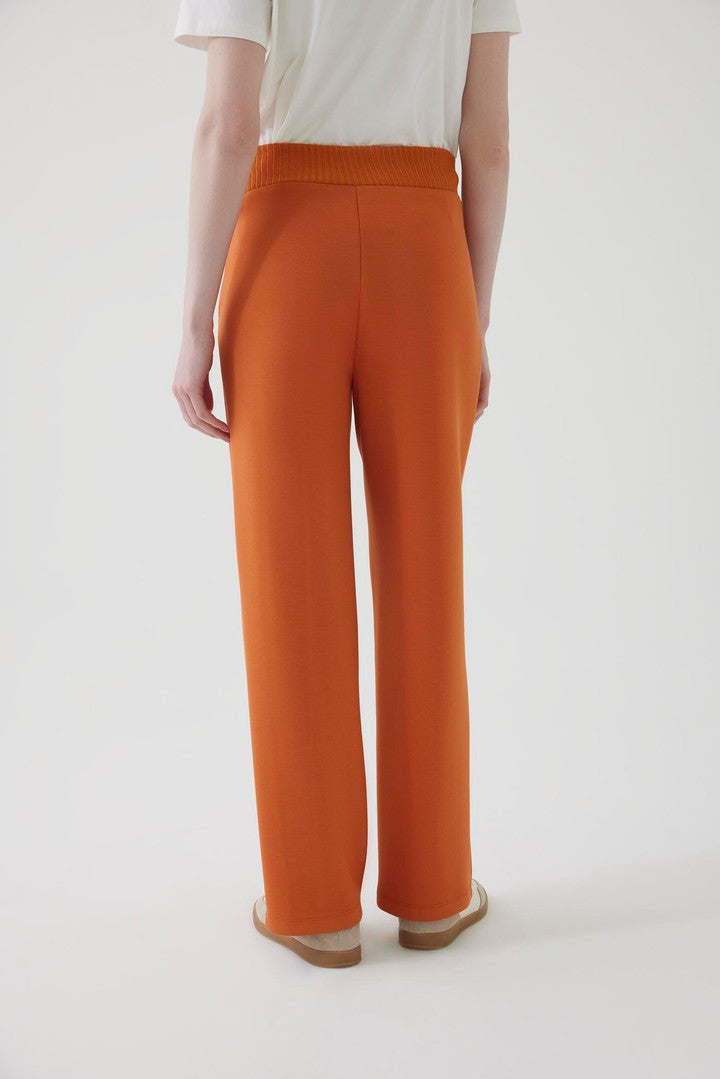 Regular Fit Straight Cut Pants with Elastic Waist