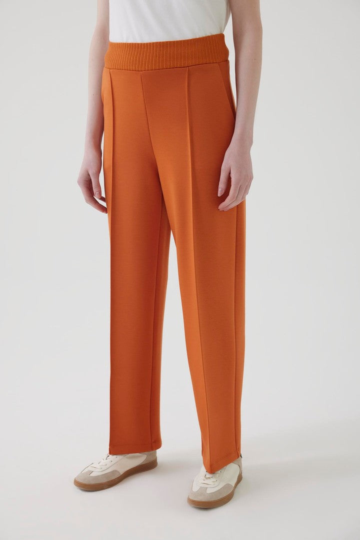 Regular Fit Straight Cut Pants with Elastic Waist