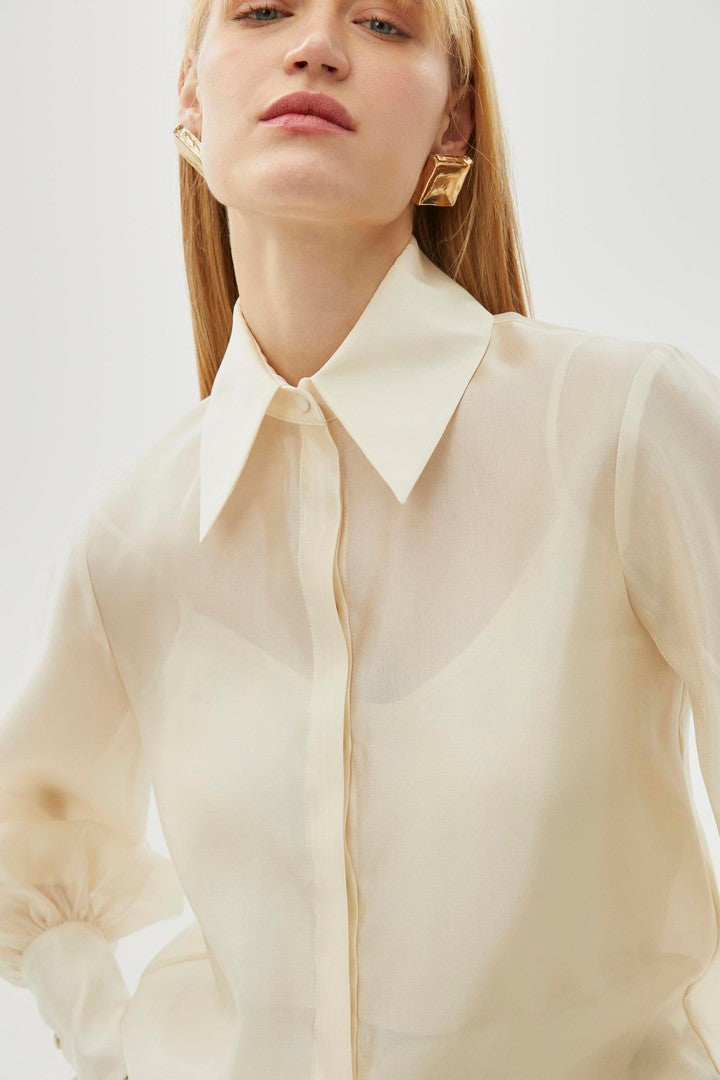 Regular Fit Sheer Shirt with Balloon Sleeves