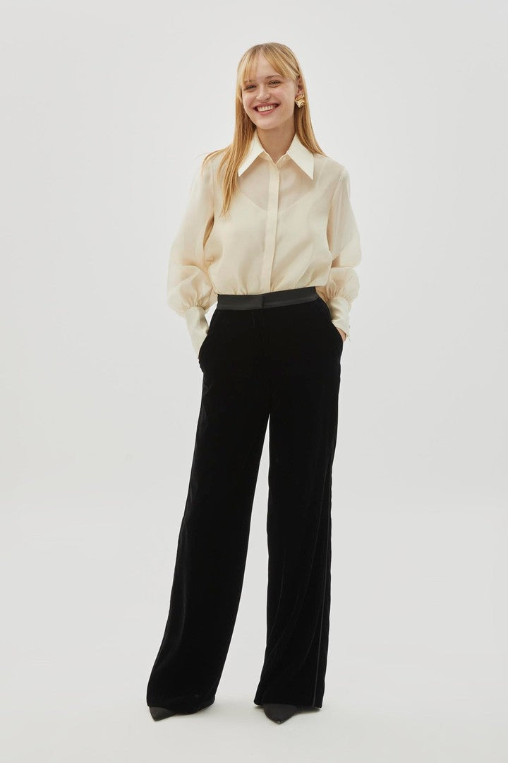 Regular Fit Sheer Shirt with Balloon Sleeves